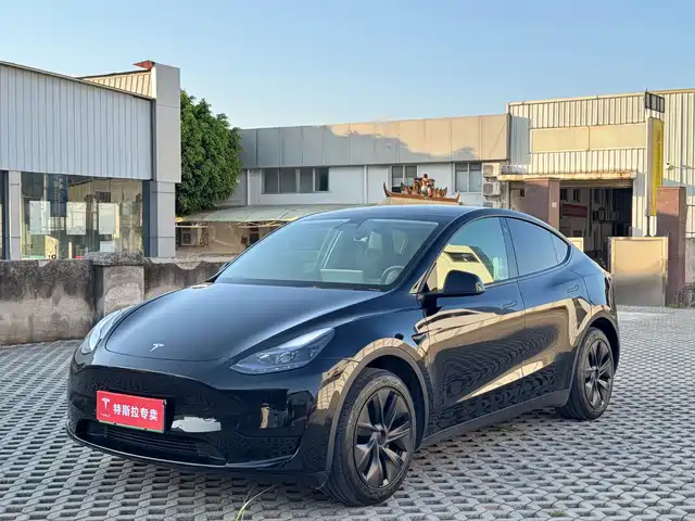 TESLA MODEL Y 2024