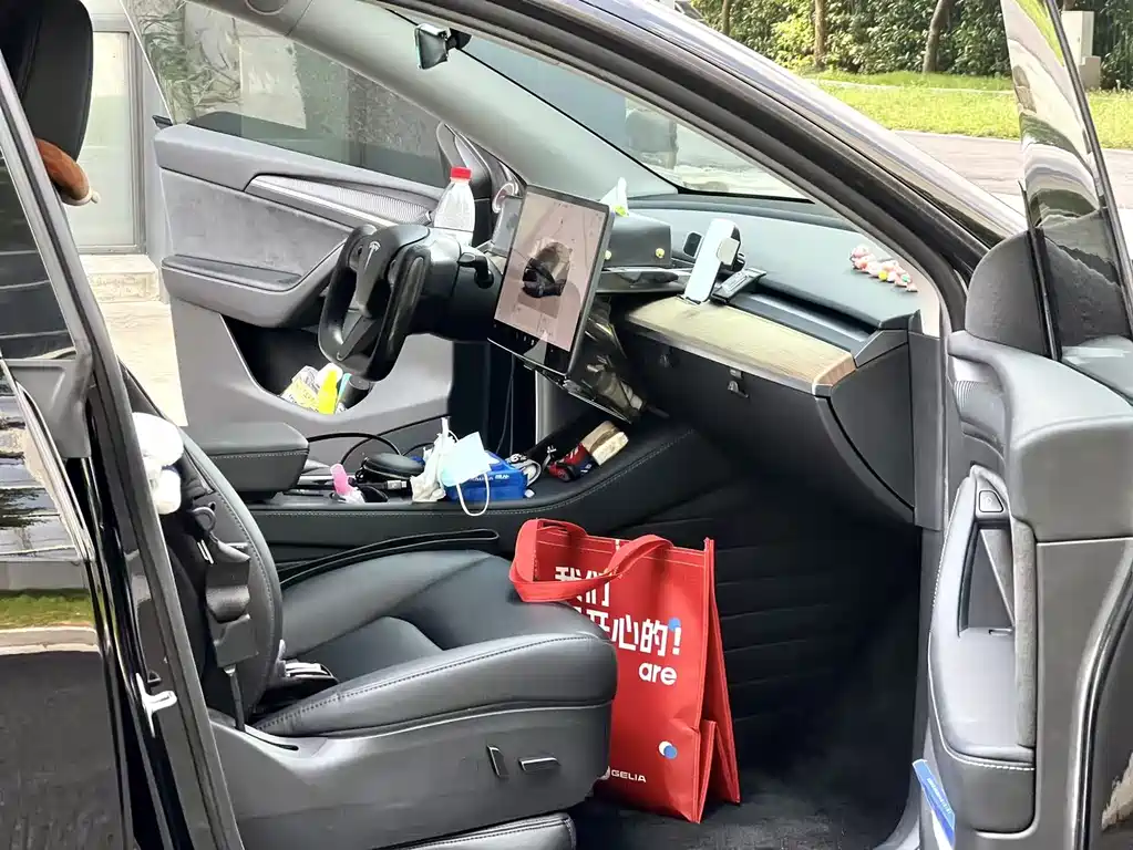 Tesla Model Y — миниатюра 8