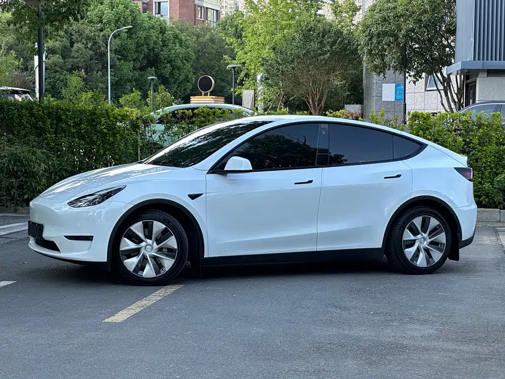 Tesla Model Y — миниатюра 4