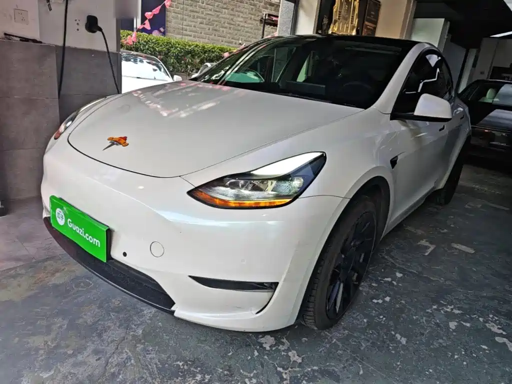 Tesla Model Y — миниатюра 2