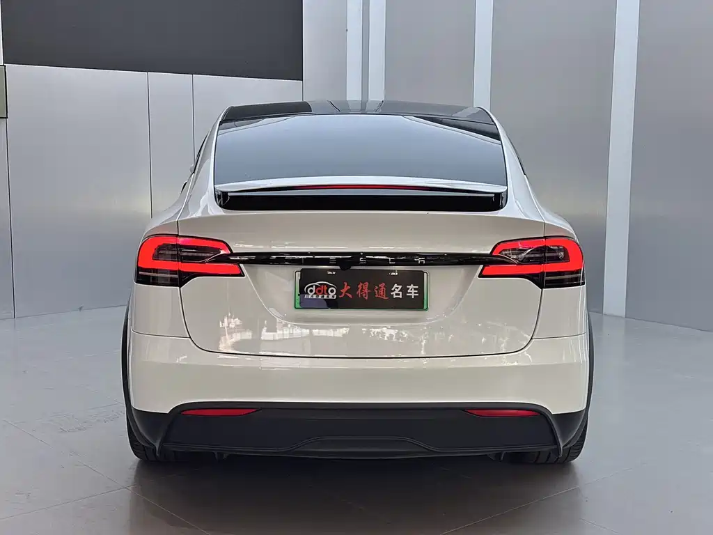 Tesla Model X — миниатюра 19