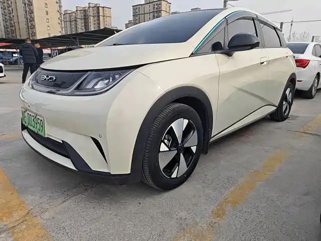 BYD DOLPHIN 2024