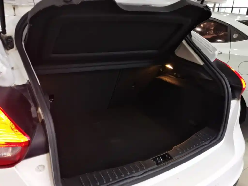 Ford Focus — миниатюра 19