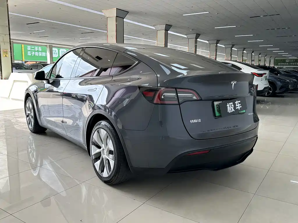 Tesla Model Y — миниатюра 4