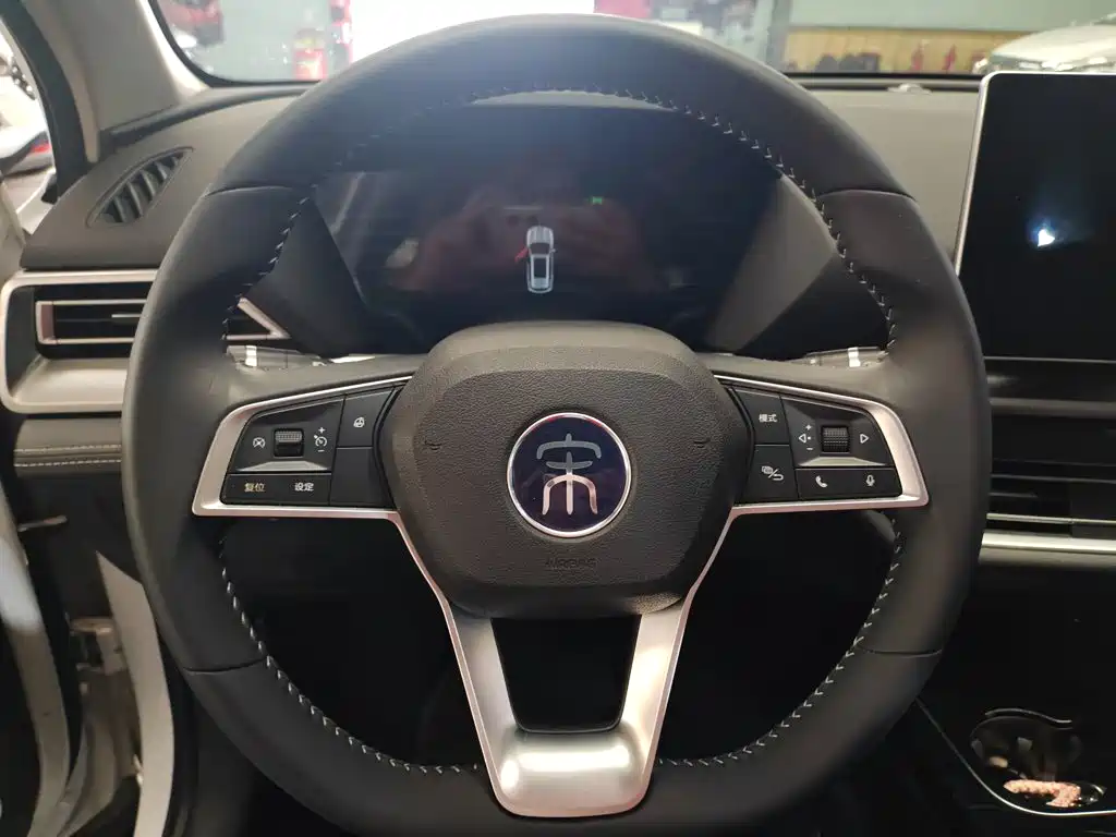 BYD Pro — миниатюра 11