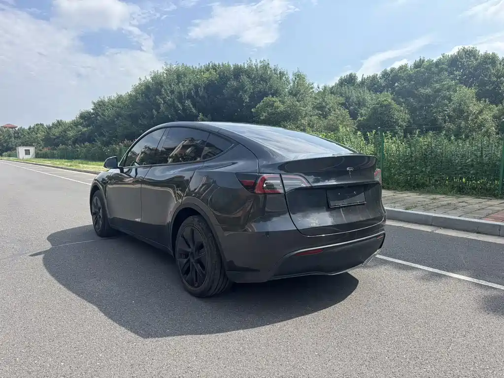 Tesla Model Y — миниатюра 9