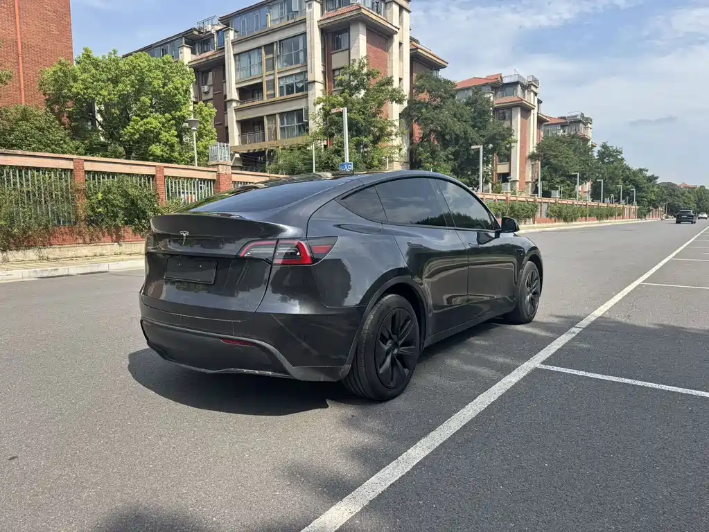 Tesla Model Y — миниатюра 11