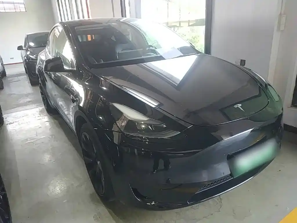 Tesla Model Y — миниатюра 4