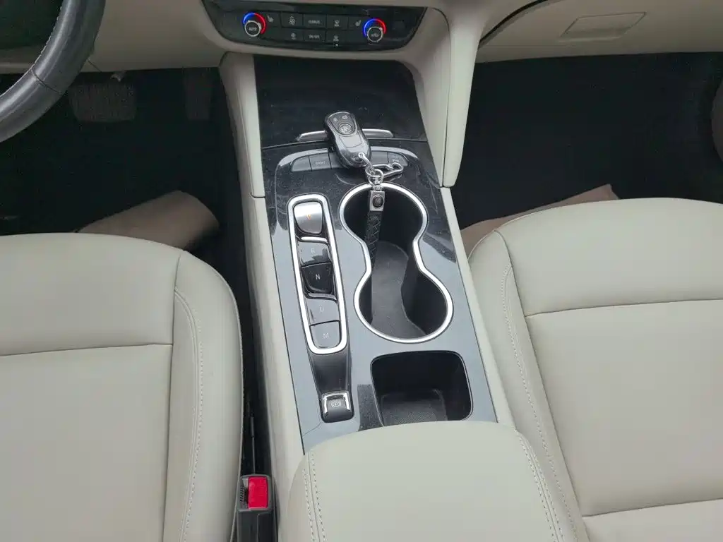 Buick Regal — миниатюра 14