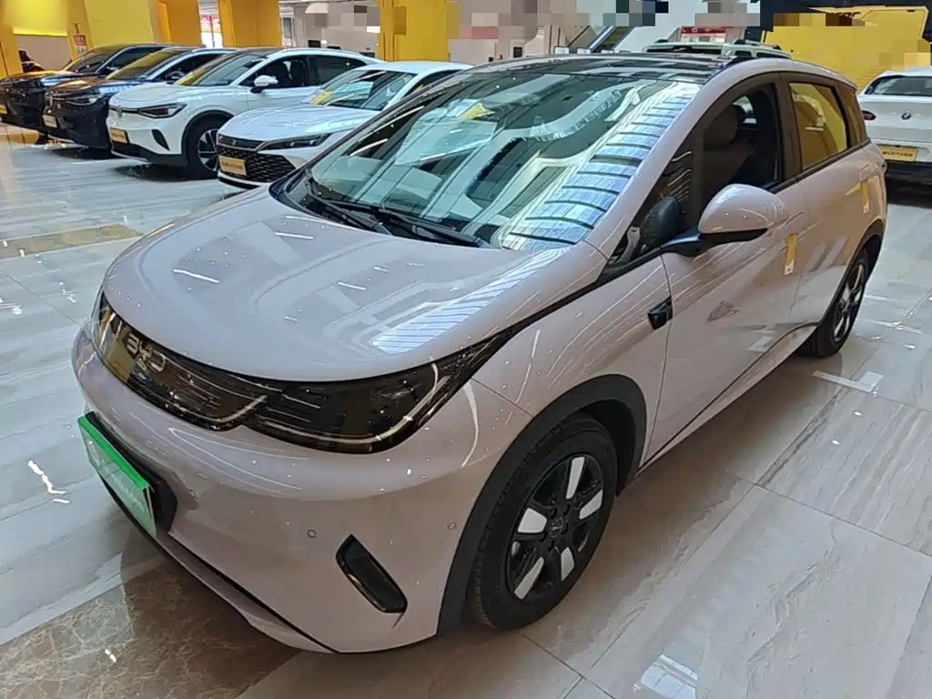 BYD Dolphin — миниатюра 2