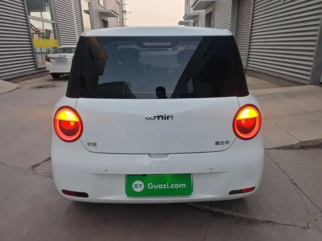 Qiyuan Lumin — миниатюра 6