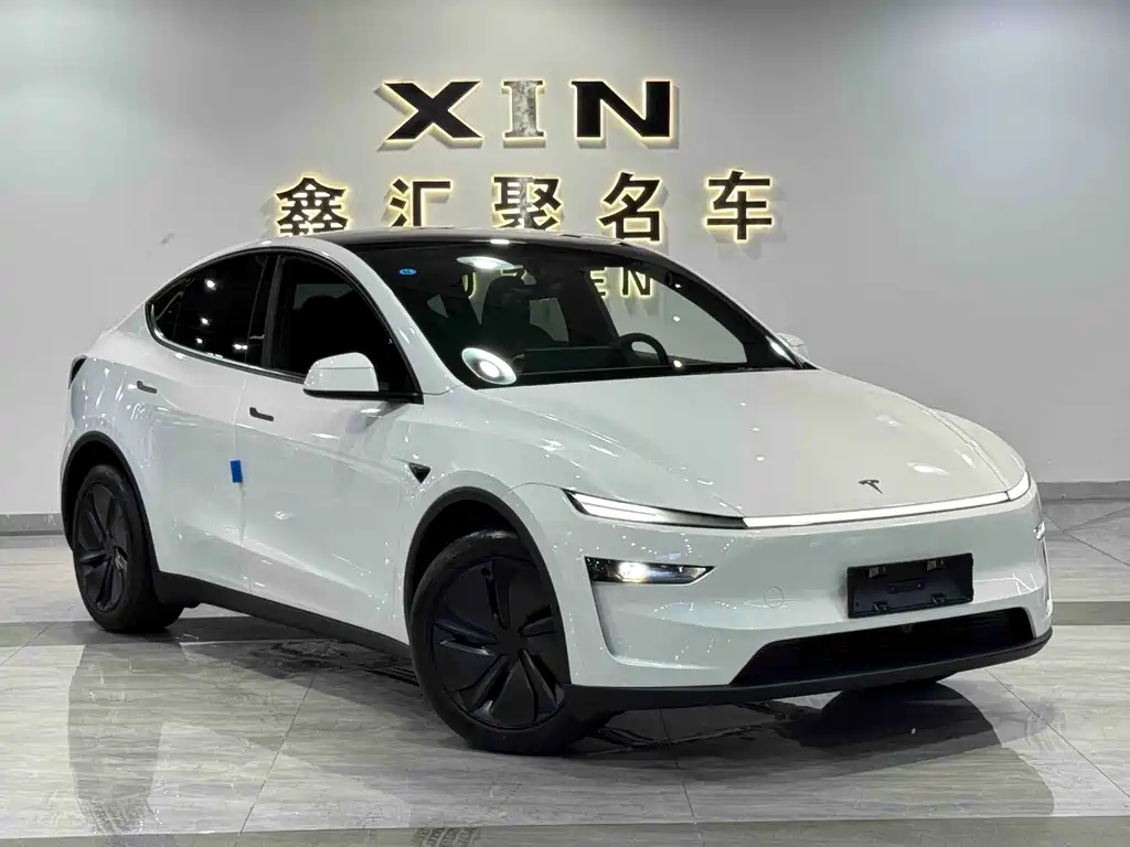 Tesla Model Y — миниатюра 3