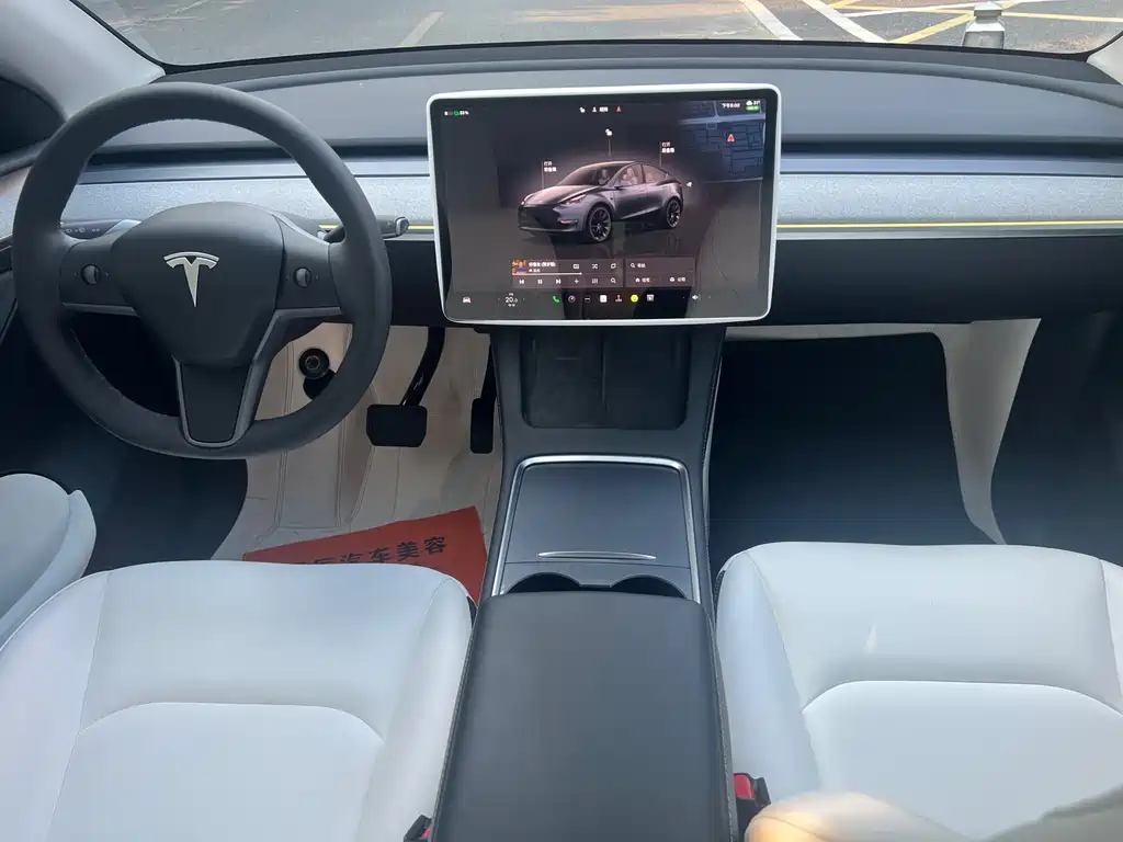 Tesla Model Y — миниатюра 12