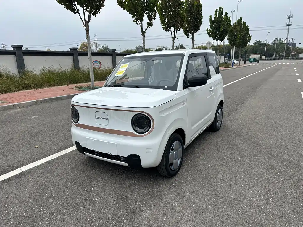 GEELY GALAXY PANDA