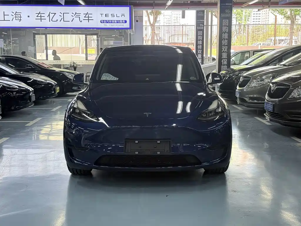 Tesla Model Y — миниатюра 2