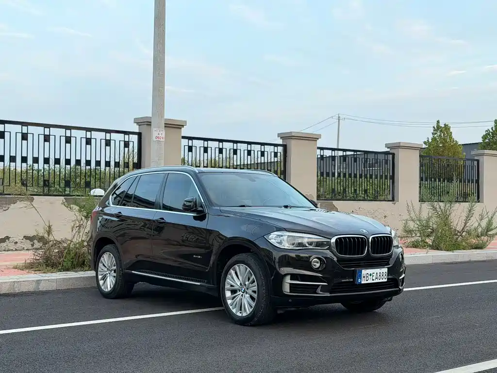 BMW X5 (Import) — миниатюра 3