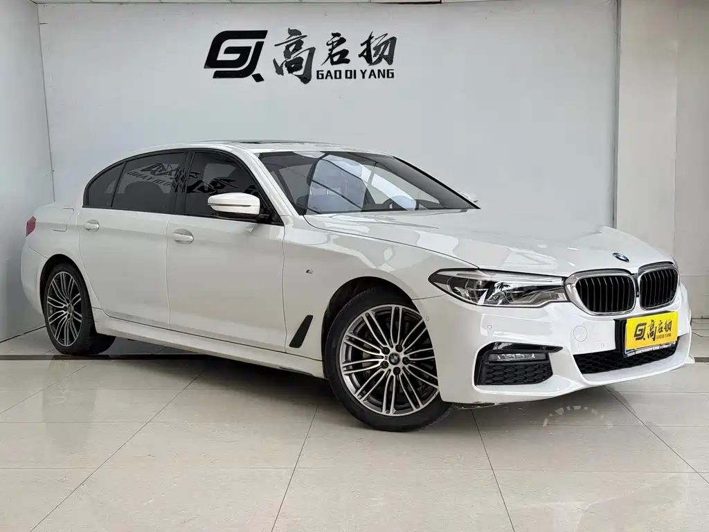 BMW 5 Series — миниатюра 3