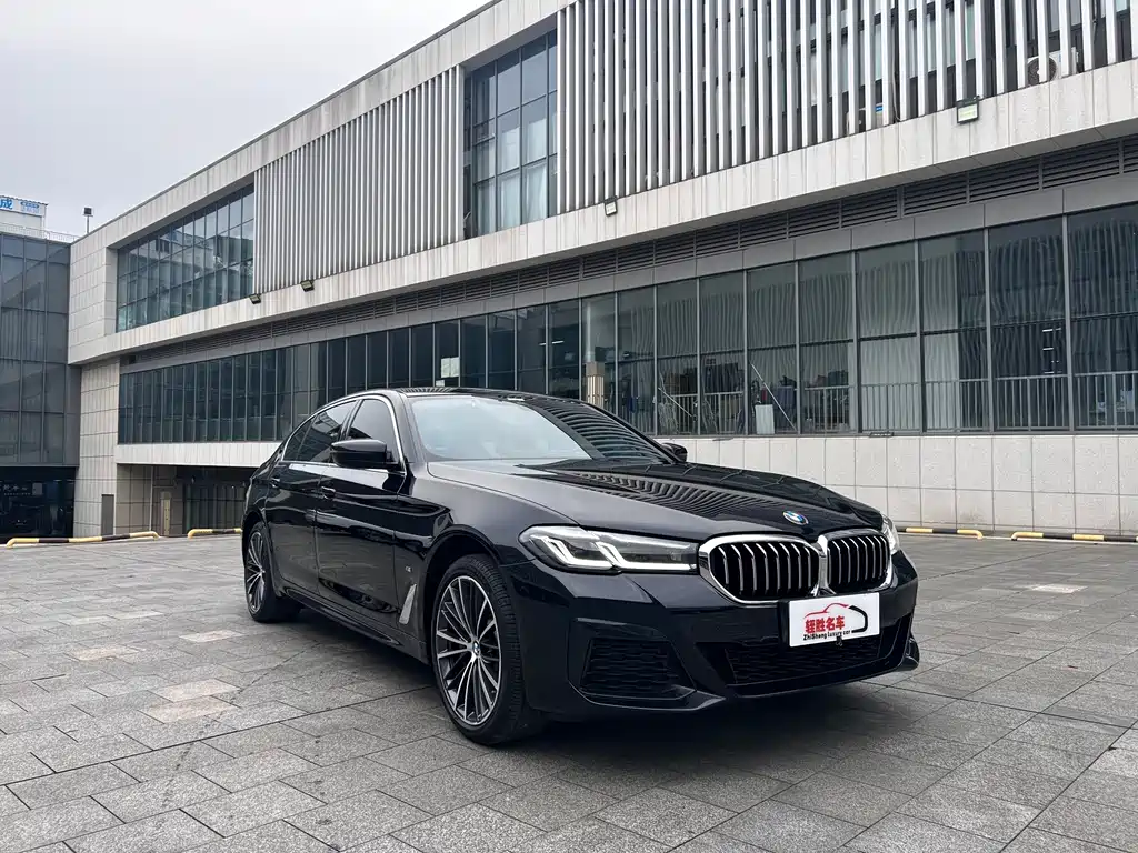 BMW 5 Series — миниатюра 3