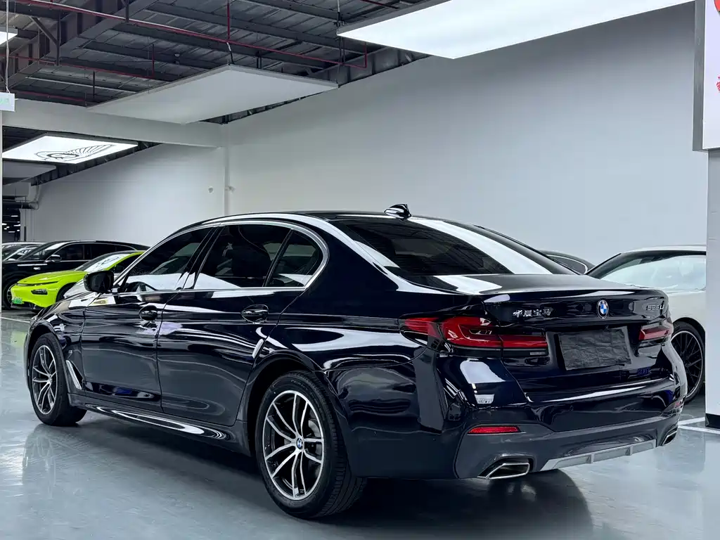 BMW 5 Series — миниатюра 15
