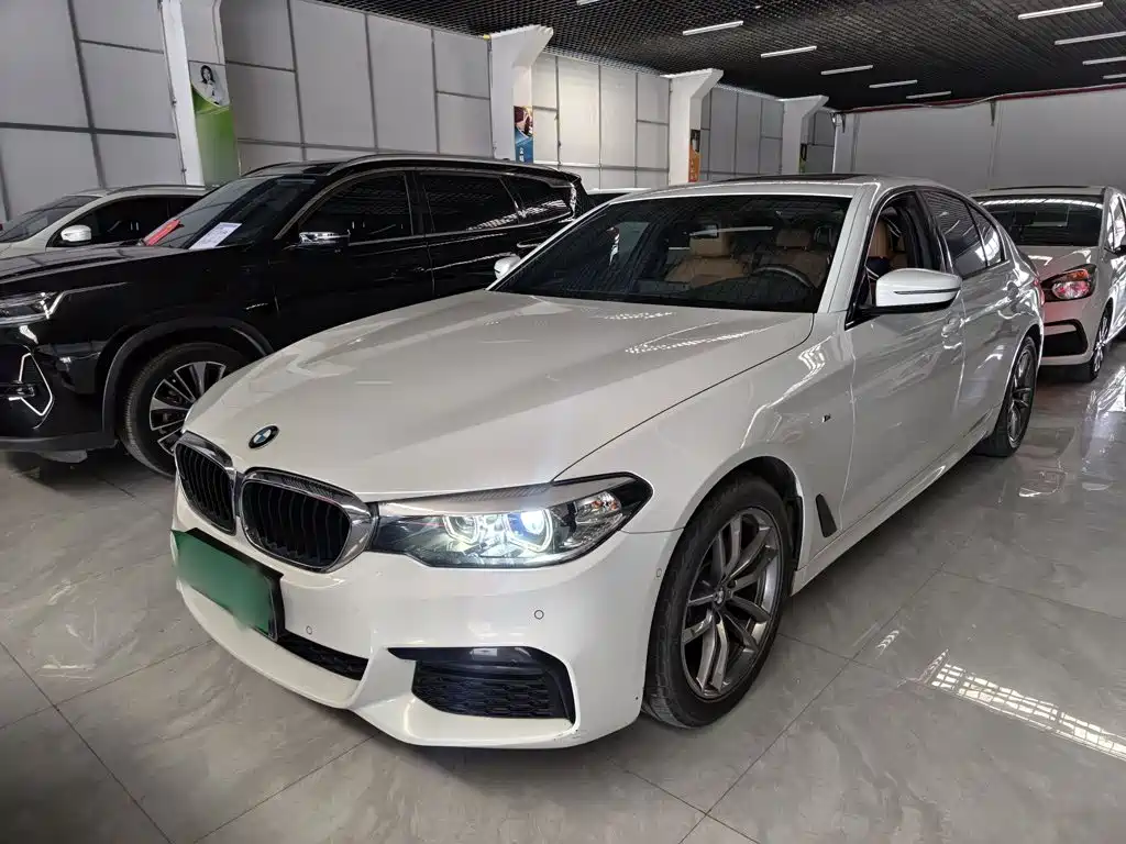 BMW 5 Series (Import) — миниатюра 2