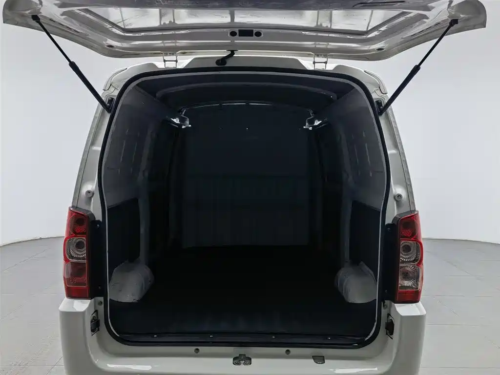 DONGFENG DONGFENG RUITAITE EM10