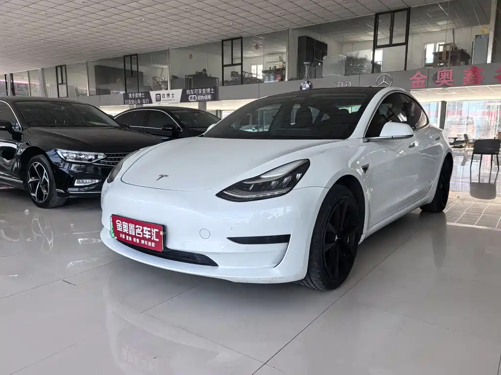 Tesla Model 3 2021