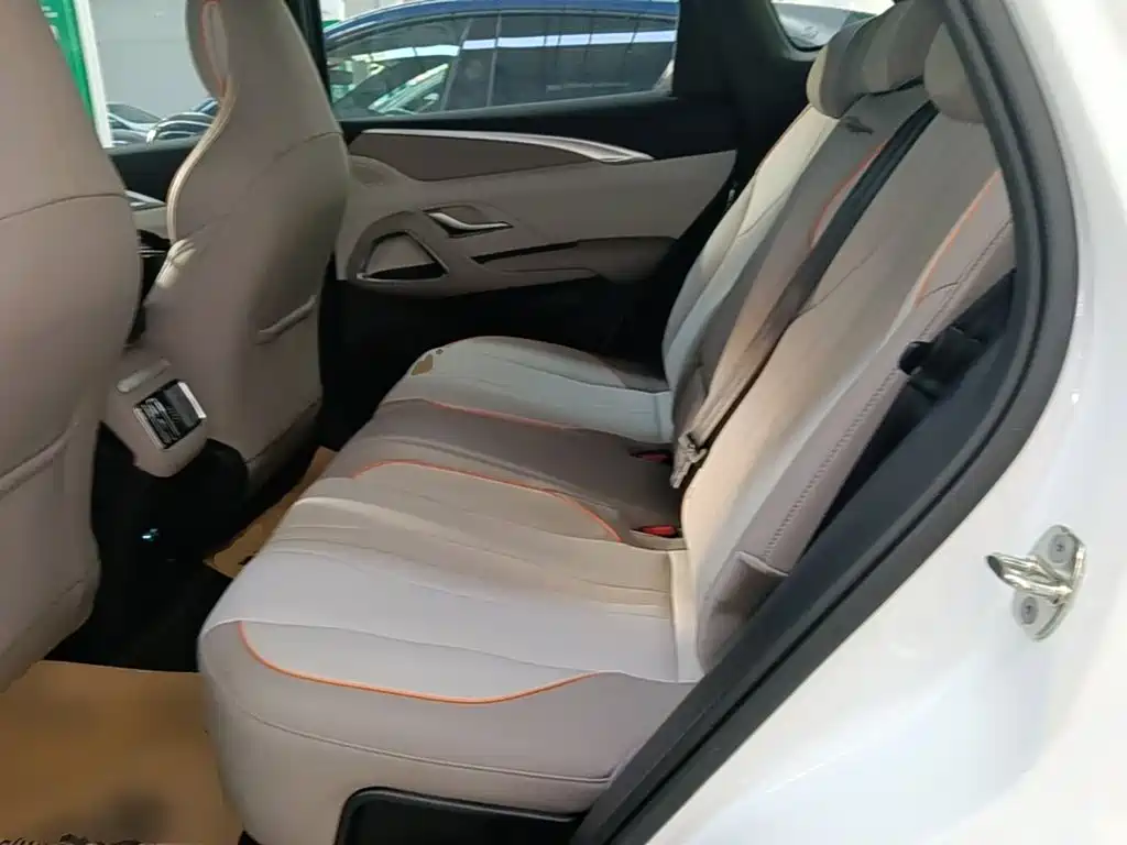BYD Pro New Energy — миниатюра 17