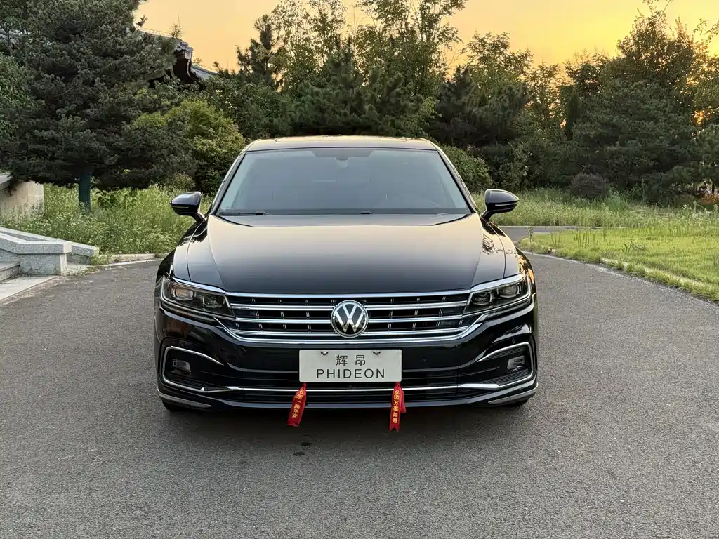 Volkswagen Phideon — миниатюра 2