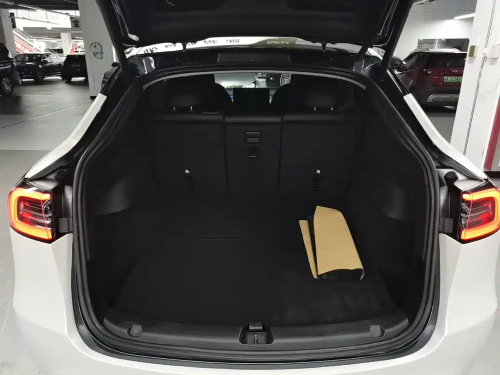 Tesla Model Y — миниатюра 19