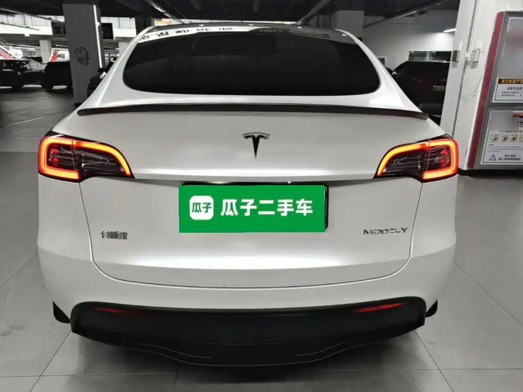 Tesla Model Y — миниатюра 6