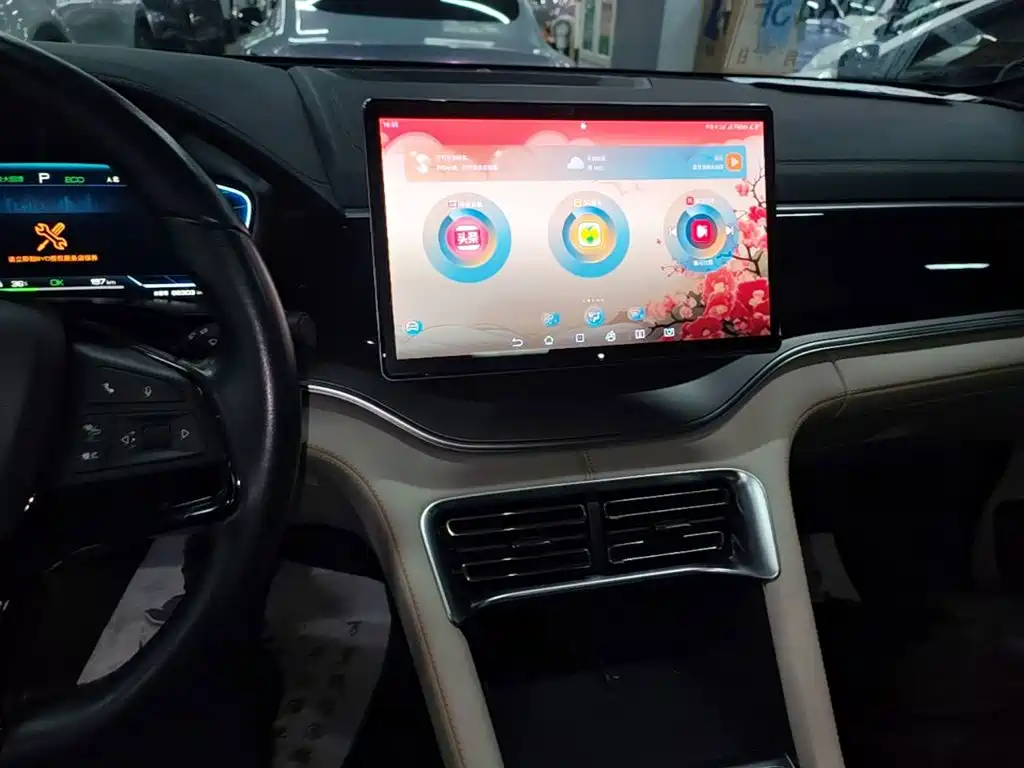BYD PLUS New Energy — миниатюра 13