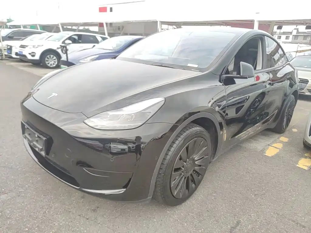 Tesla Model Y — миниатюра 2