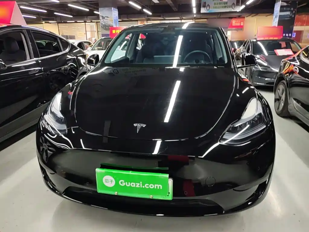 Tesla Model Y — миниатюра 3