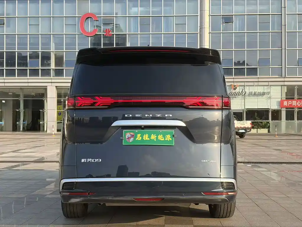 Denza Denza D9 — миниатюра 19