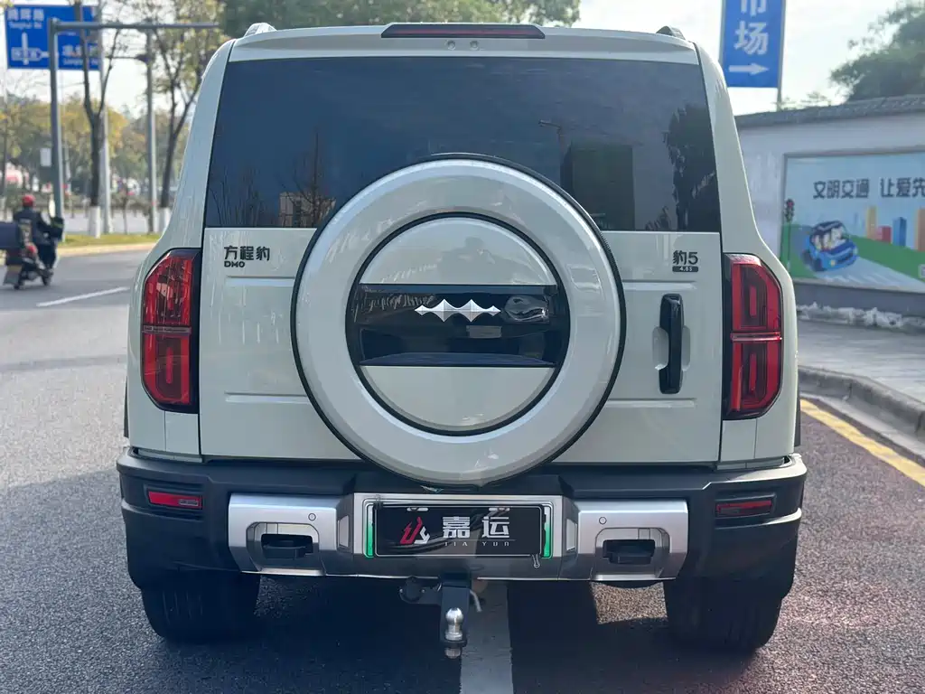 FANG CHENG BAO LEOPARD 5