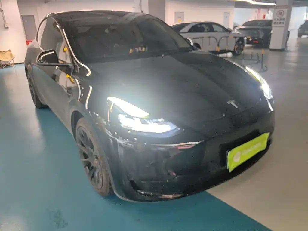 Tesla Model Y — миниатюра 4