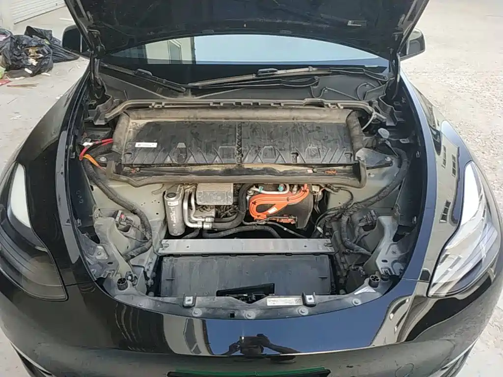Tesla Model Y — миниатюра 20