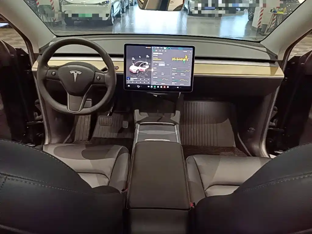 Tesla Model Y — миниатюра 10