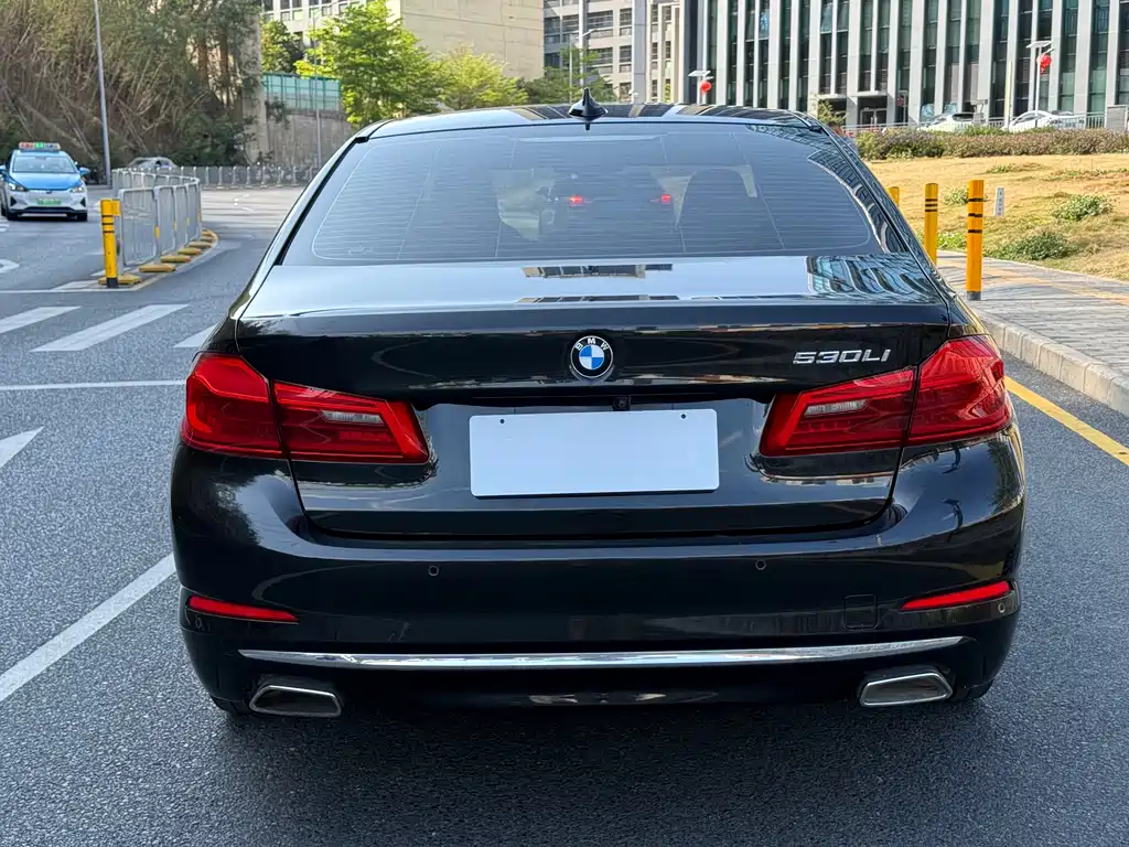 BMW 5 Series 5 2019 530Li Lead Luxury