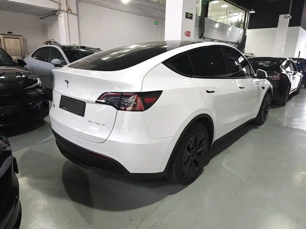Tesla Model Y — миниатюра 7