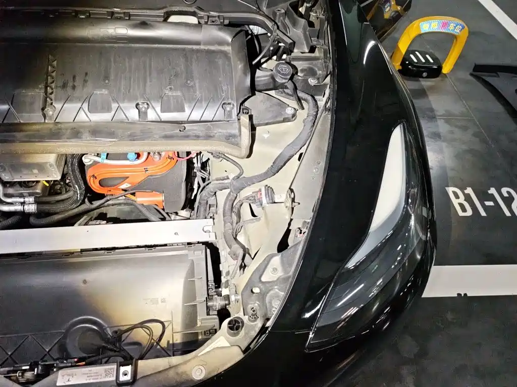 Tesla Model Y — миниатюра 22