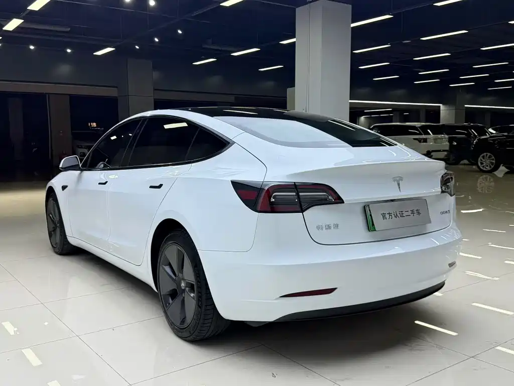 Tesla Model 3 — миниатюра 3