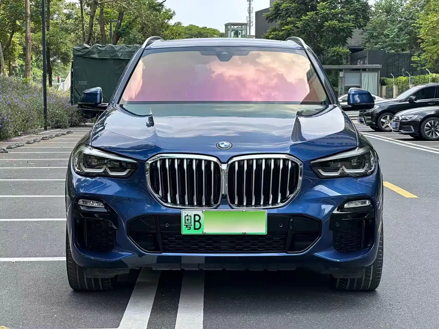 BMW X5 New Energy (Import)