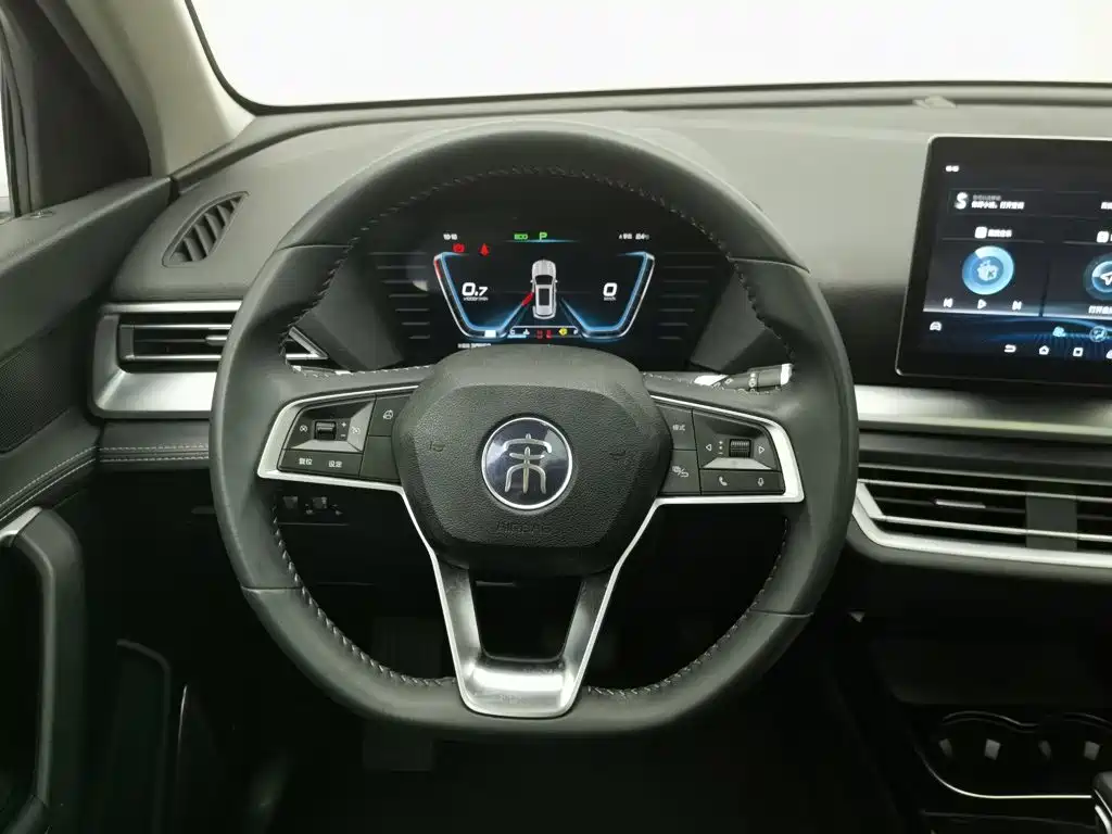 BYD Pro — миниатюра 11