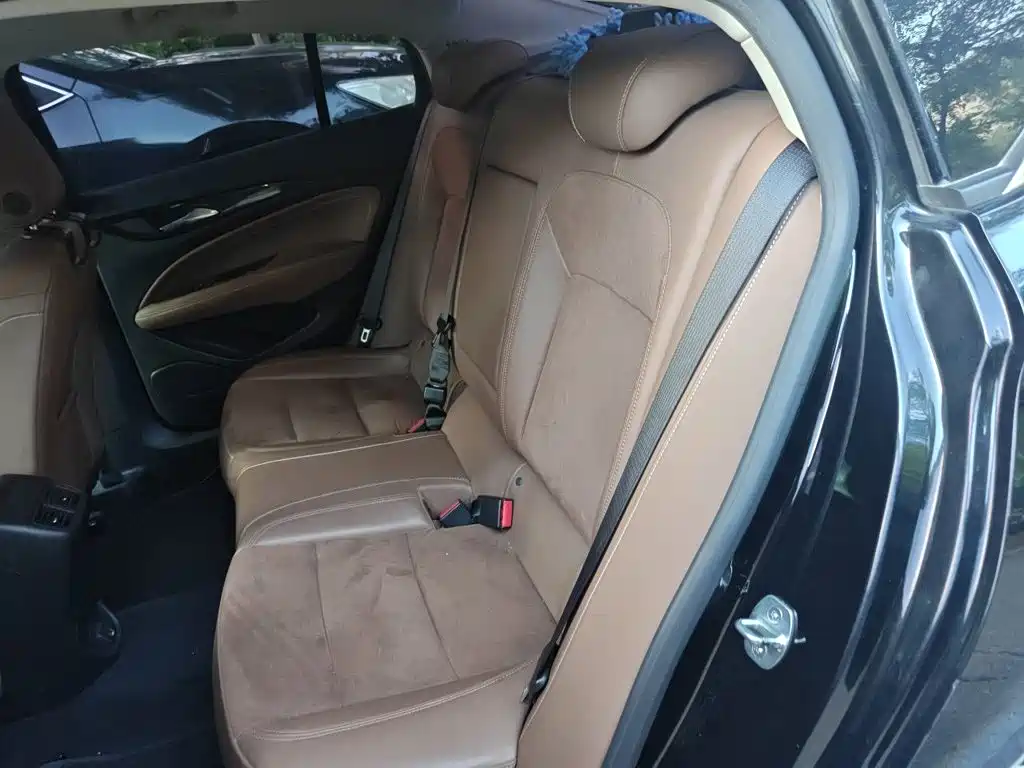 Buick Regal — миниатюра 13