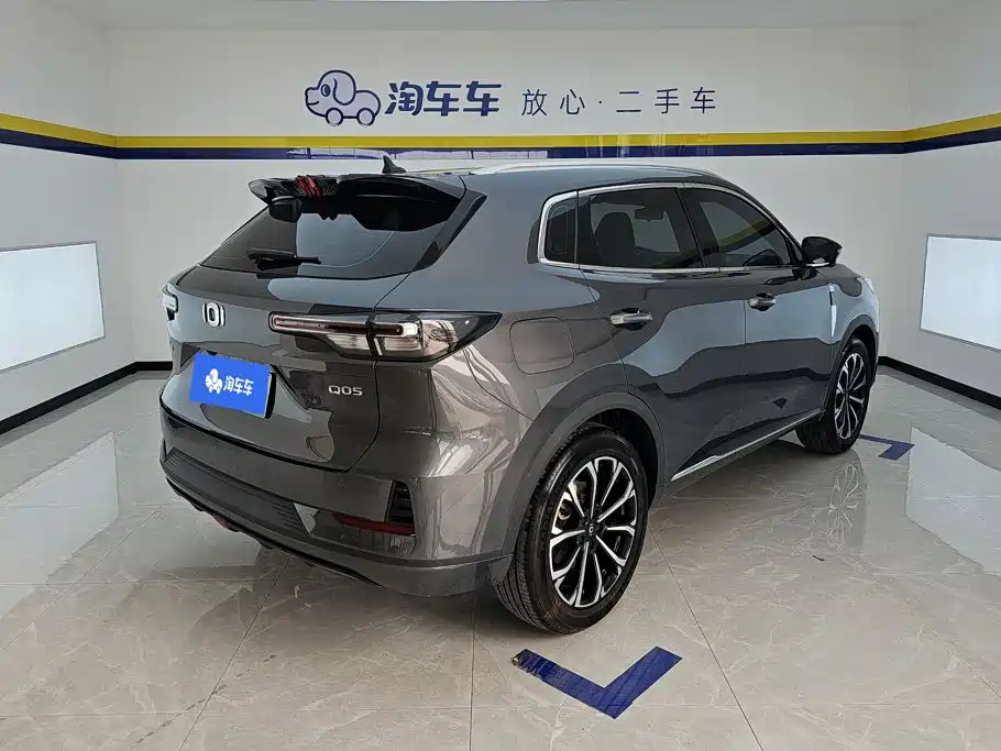 Qiyuan Чанг Ан Кай Q05 классика. — миниатюра 3