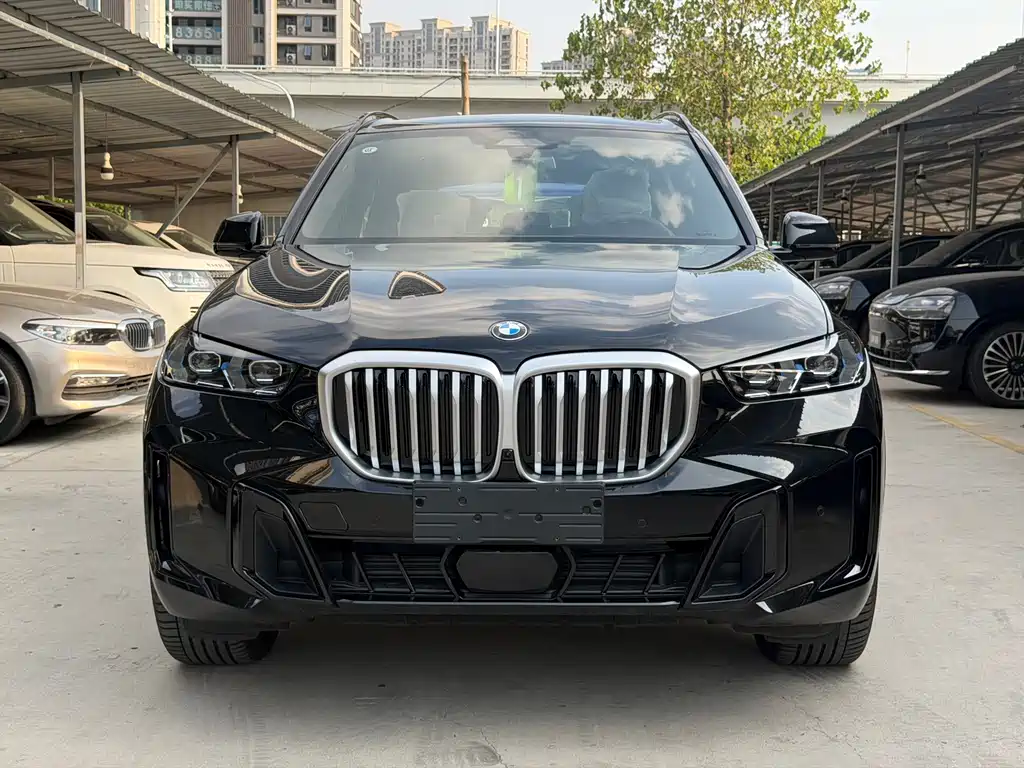 BMW X5 — миниатюра 2