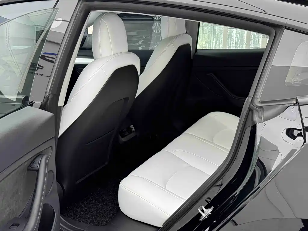 Tesla Model 3 2021 3D6
