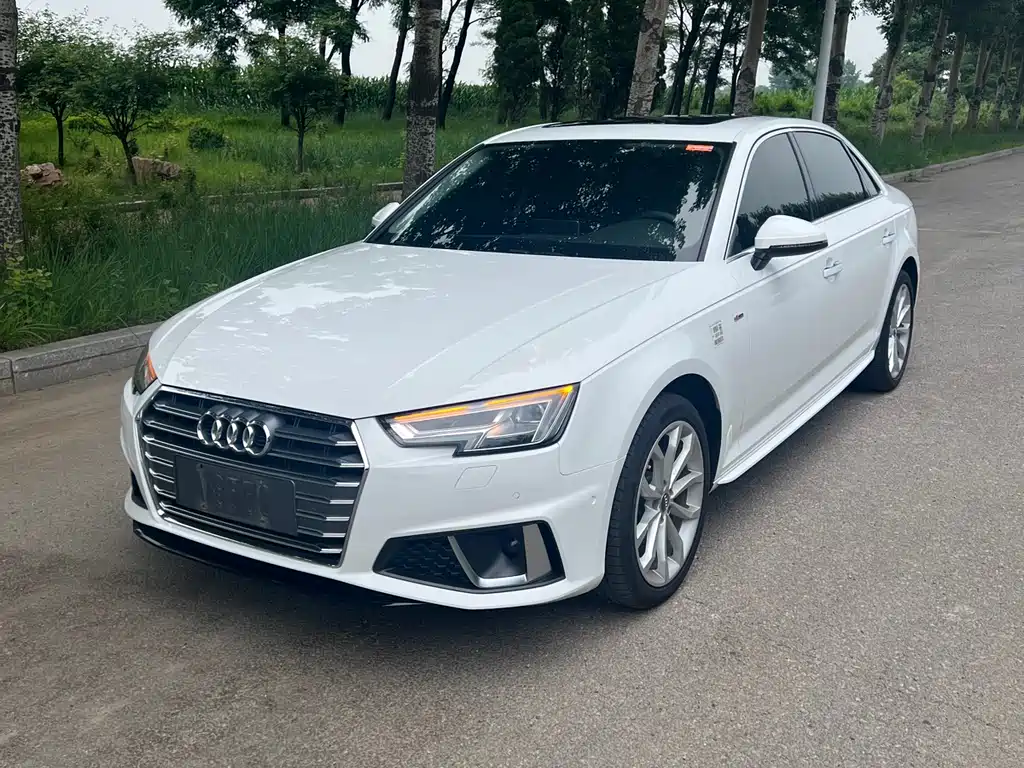 Audi A4L 2019 40 TFSI Fashion VI