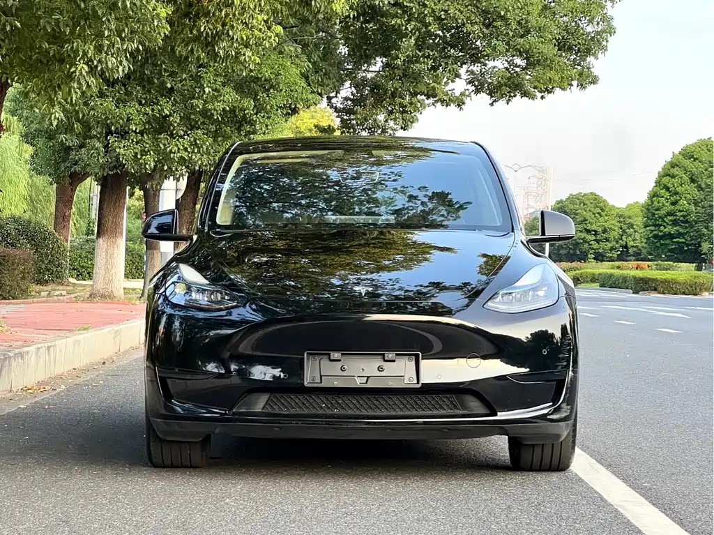 Tesla Model Y — миниатюра 2